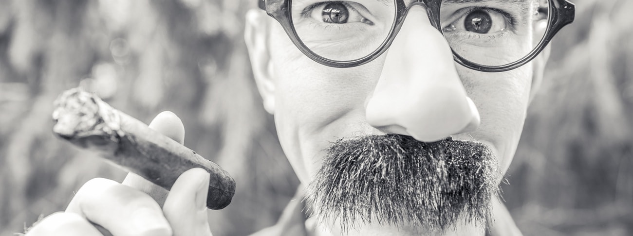 Learn About the Web Development in 10 steps